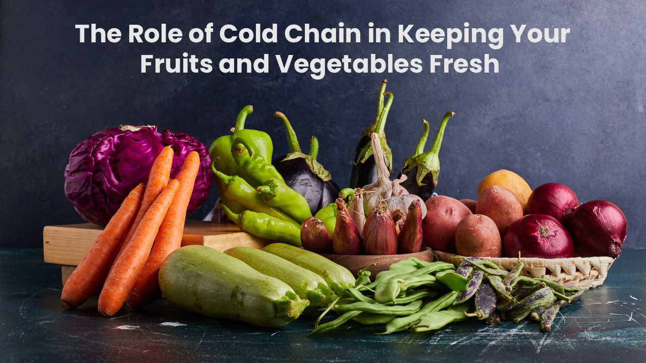 The Role of Cold Chain in Keeping Your Fruits and Vegetables Fresh